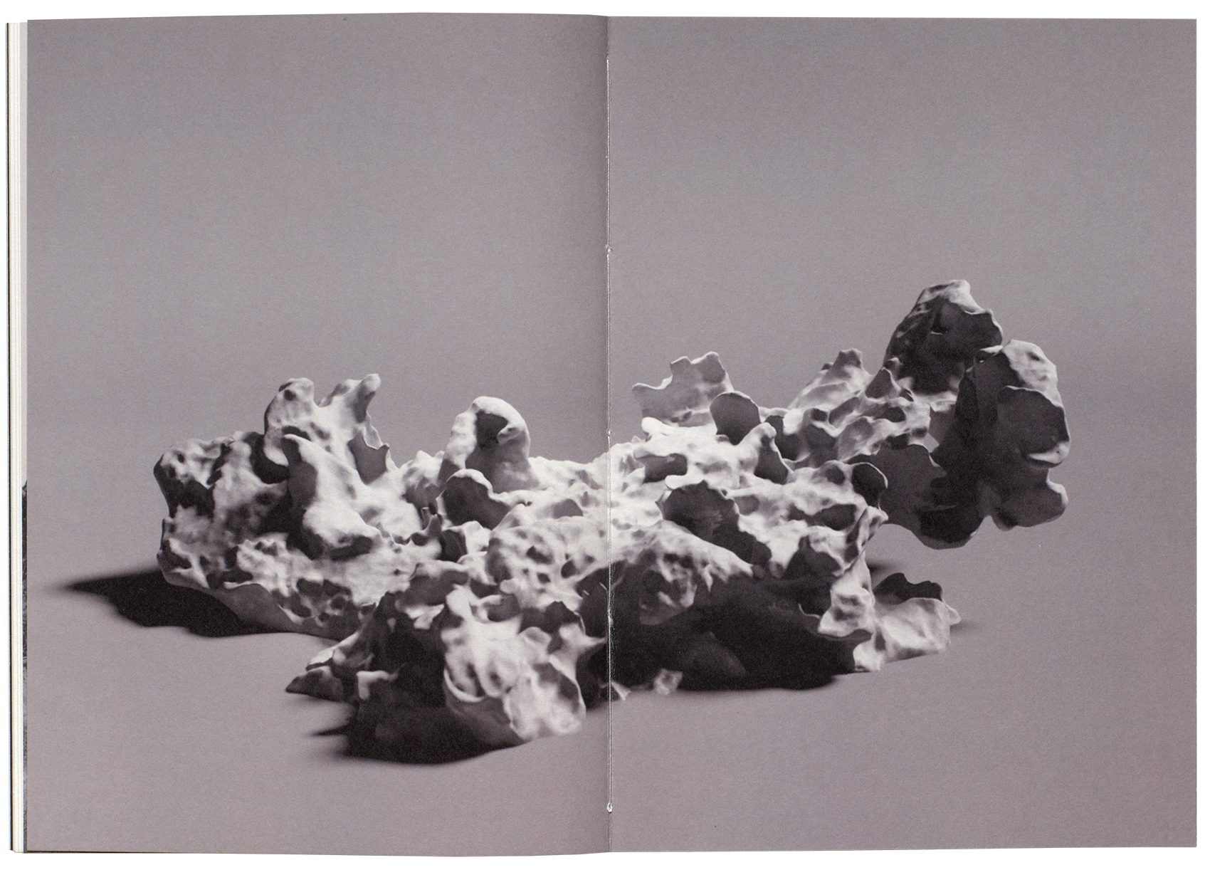 double spread of the printed publication Lichen
